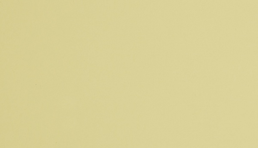 Однотонный пластик ARPA 0573 Светло – жёлтый