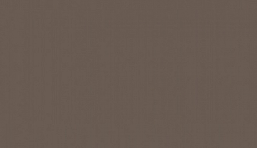 Ламинированная ДСП Трюфель коричневый U748